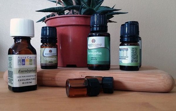 Comment l'huile d'eucalyptus favorise-t-elle la pousse des barbes ?